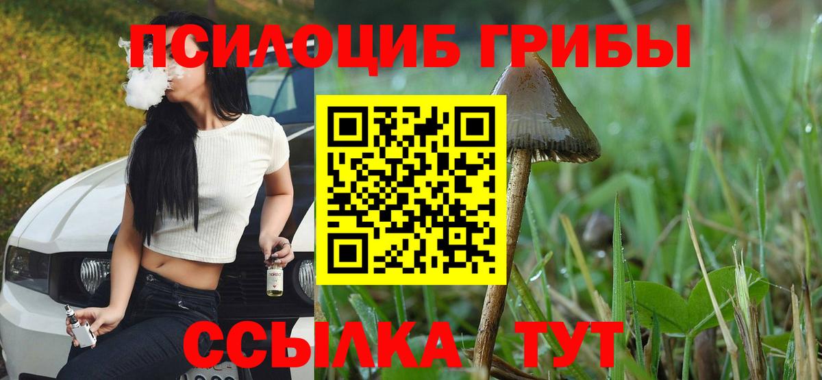 Галлюциногенные грибы Psilocybine cubensis  Вход с VPN  Россия 