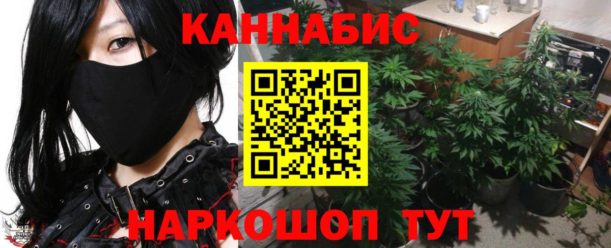 МАРИХУАНА сатива  Вход с VPN  Россия  Марихуана OG Kush  Марихуана Ganja 